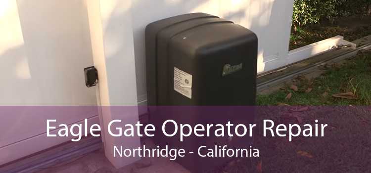 Eagle Gate Operator Repair Northridge - California