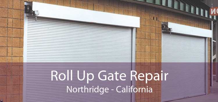 Roll Up Gate Repair Northridge - California